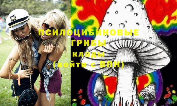 дурь Костерёво