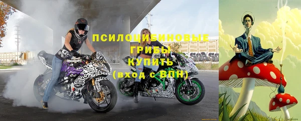 эйфоретик Корсаков