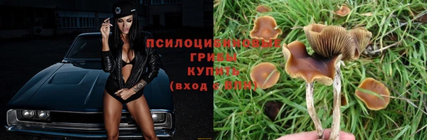мяу мяу кристалл Коряжма