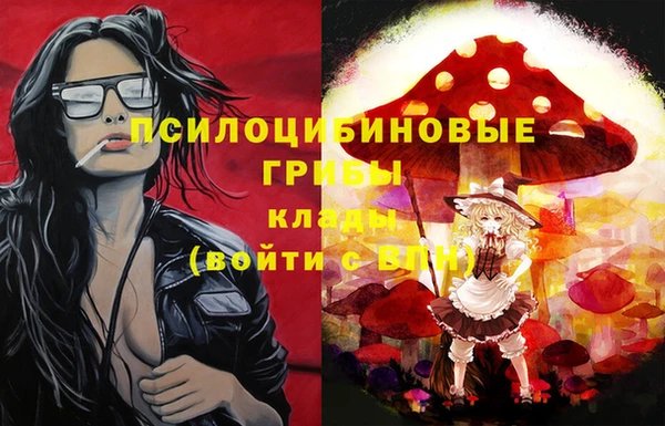 мяу мяу кристалл Коряжма